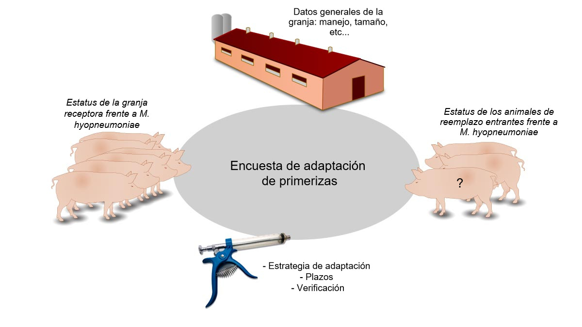 Figura 1. Informaci&oacute;n relacionada con la adaptaci&oacute;n de primerizas recopilada en&nbsp;la encuesta.
